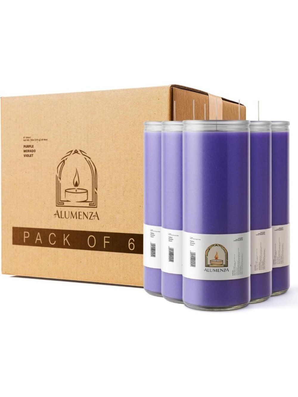 Set of 6 Purple 90-Hour Prayer Devotional Candles in Elegant Glass Holders